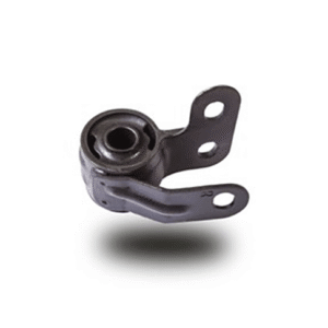 بوش طبق راست دیگنیتی